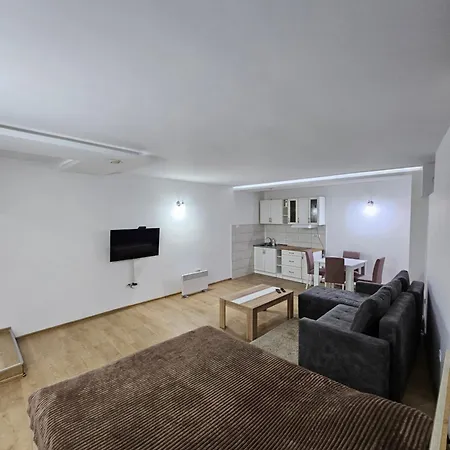 Apartman Viktor 2 Jacuzzi Belgrade Exterior photo